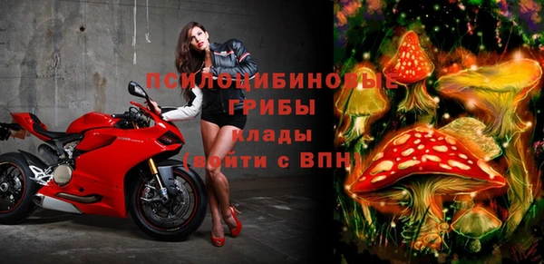 дурь Аркадак