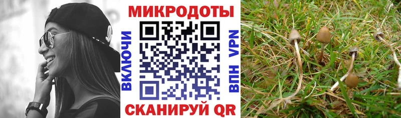 Галлюциногенные грибы ЛСД  mega вход  Динская 